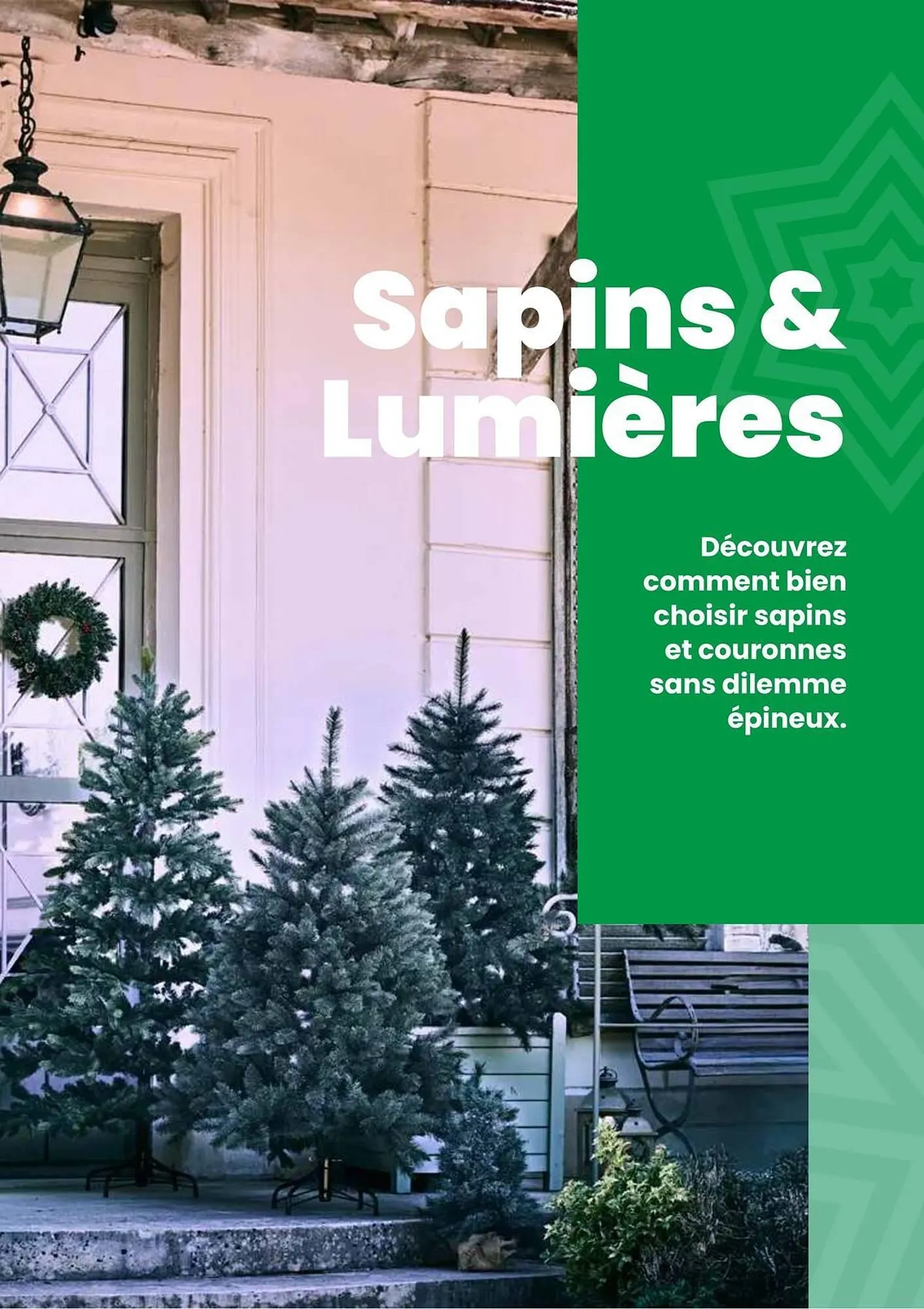 Catalogue Truffaut du 2 décembre au 31 décembre 2025 - Catalogue page 29