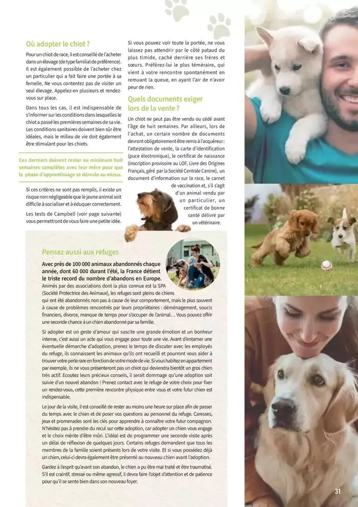 Le guide CHIENS & CHATS du 30 avril au 31 décembre 2025 - Catalogue page 31