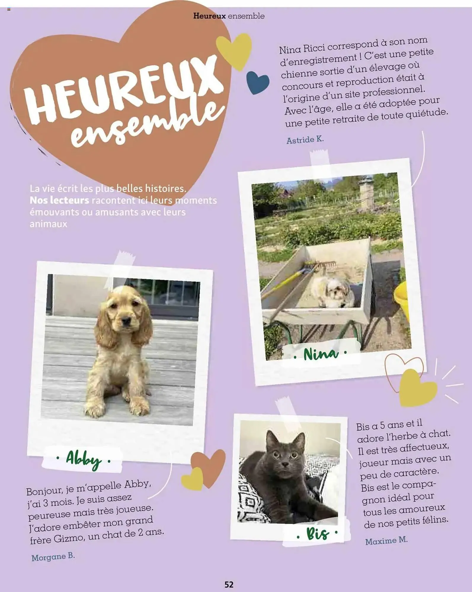 Catalogue Maxi Zoo du 1 octobre au 20 novembre 2025 - Catalogue page 52