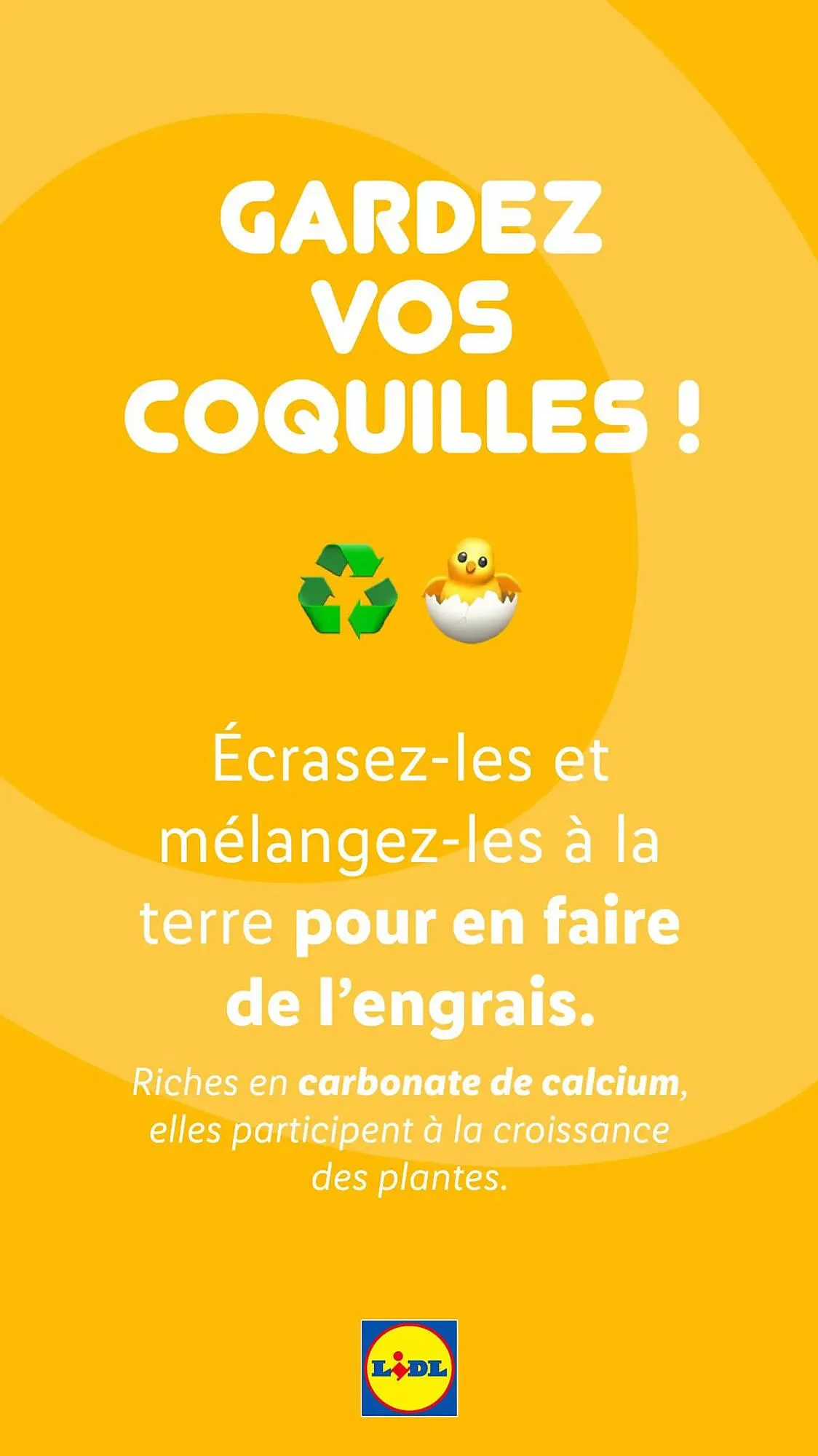 Catalogue Lidl du 13 mars au 27 avril 2025 - Catalogue page 7