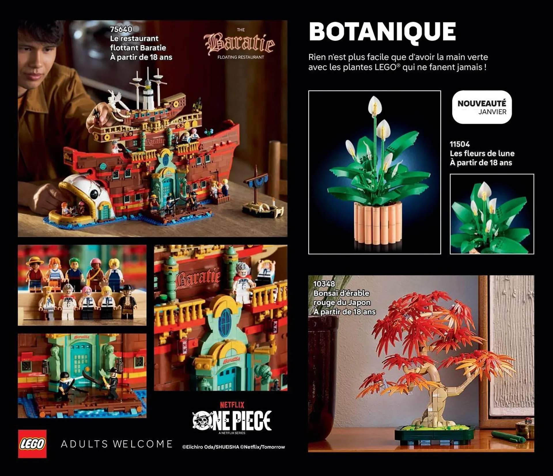 Catalogue LEGO du 9 janvier au 30 juin 2026 - Catalogue page 82