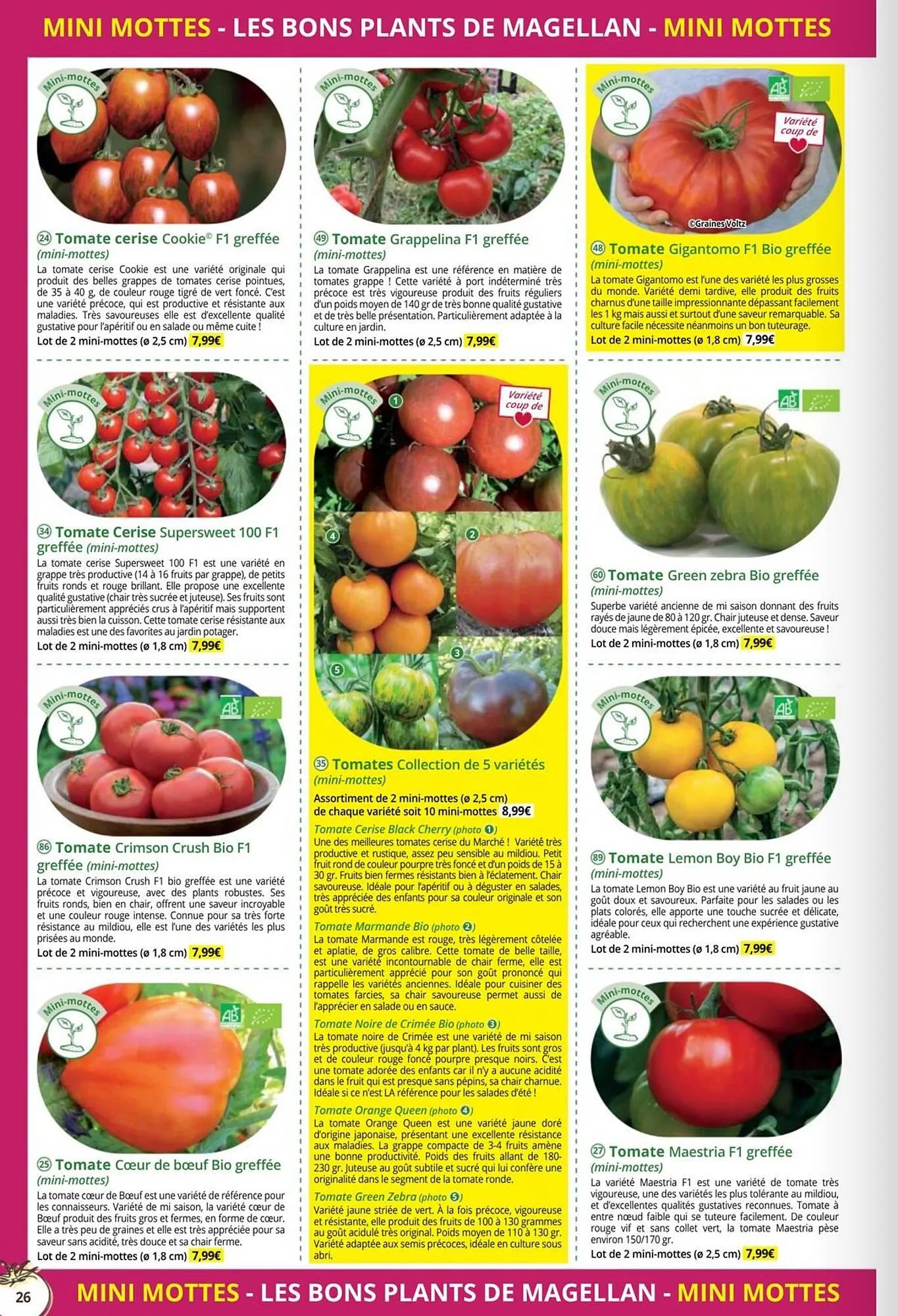 Catalogue Magellan du 1 janvier au 31 décembre 2026 - Catalogue page 26