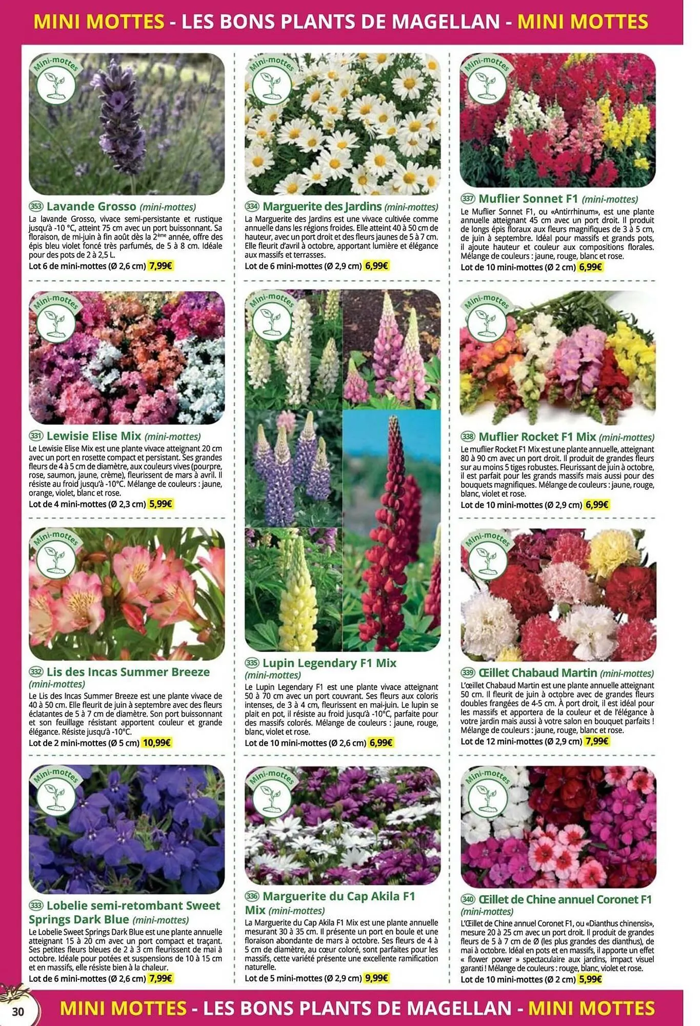 Catalogue Magellan du 16 décembre au 31 décembre 2025 - Catalogue page 30