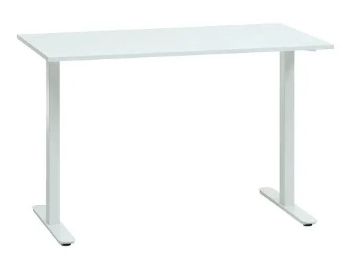 Desk STAUNING 60x120 white