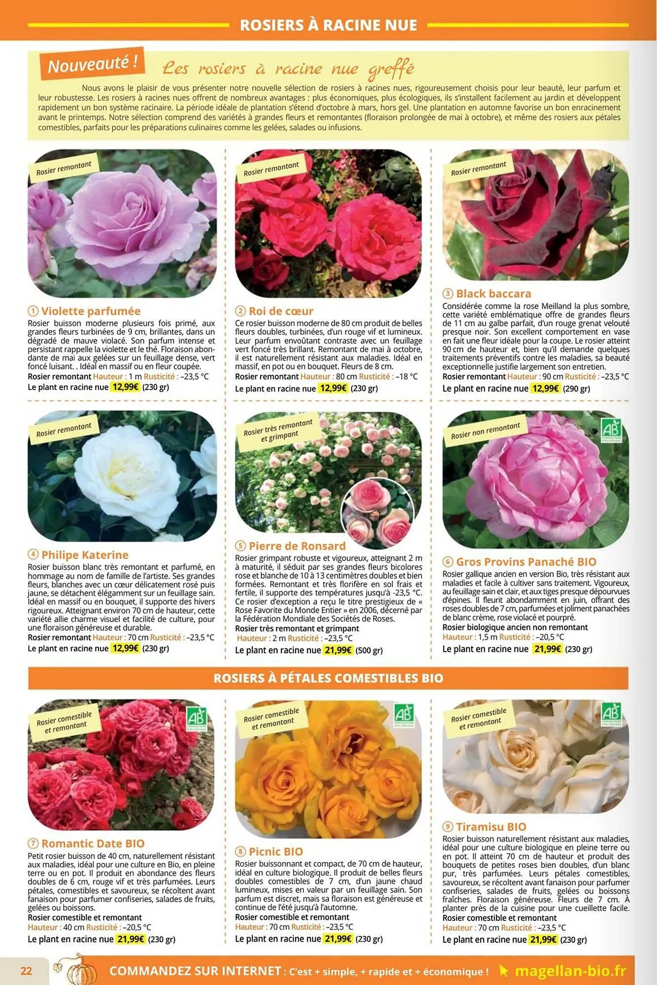 Catalogue Magellan du 1 septembre au 30 novembre 2025 - Catalogue page 22