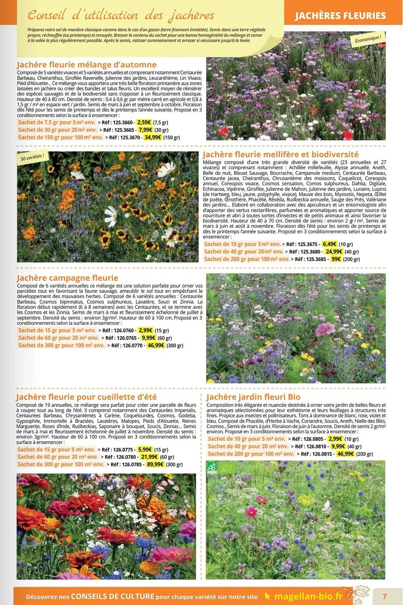 Catalogue Magellan du 1 septembre au 30 novembre 2025 - Catalogue page 7