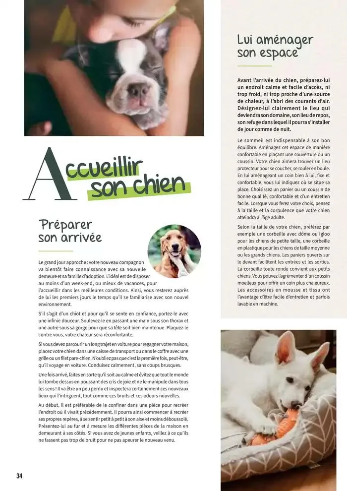 Le guide CHIENS & CHATS du 30 avril au 31 décembre 2025 - Catalogue page 34