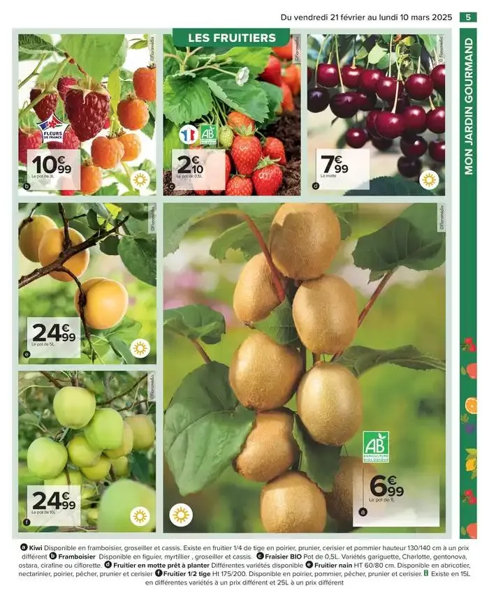 PROFITER ENFIN DE SON JARDIN du 21 février au 10 mars 2025 - Catalogue page 7
