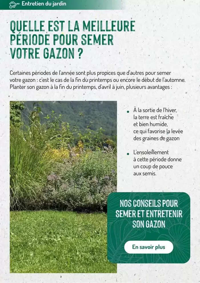 Promotions exceptionnelles du 12 mars au 25 mars 2025 - Catalogue page 8