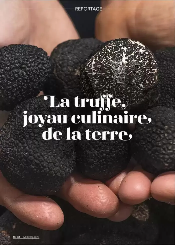 Metro Magazine 15h30 N°12 du 16 décembre au 30 avril 2025 - Catalogue page 12