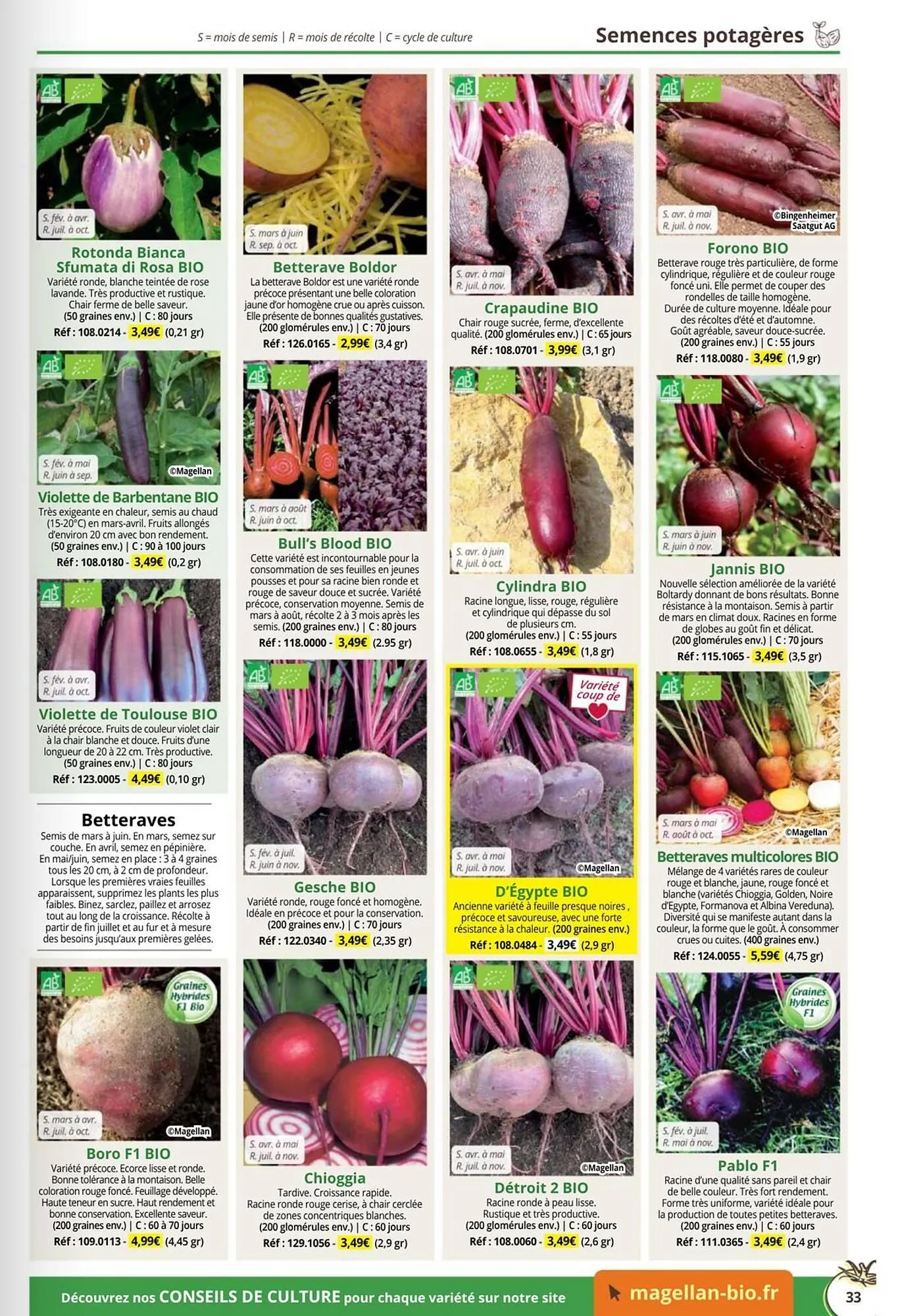 Catalogue Magellan du 1 janvier au 31 décembre 2026 - Catalogue page 33