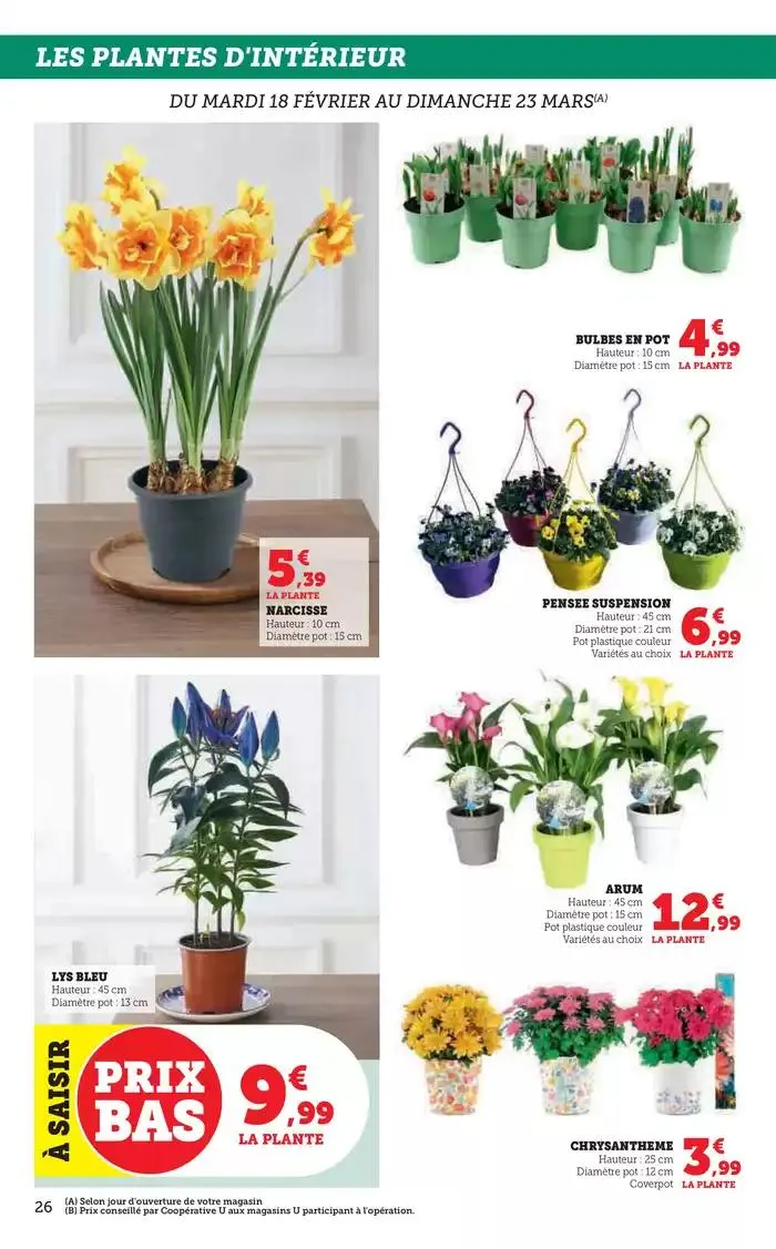 Spécial Jardin du 18 février au 16 mars 2025 - Catalogue page 26