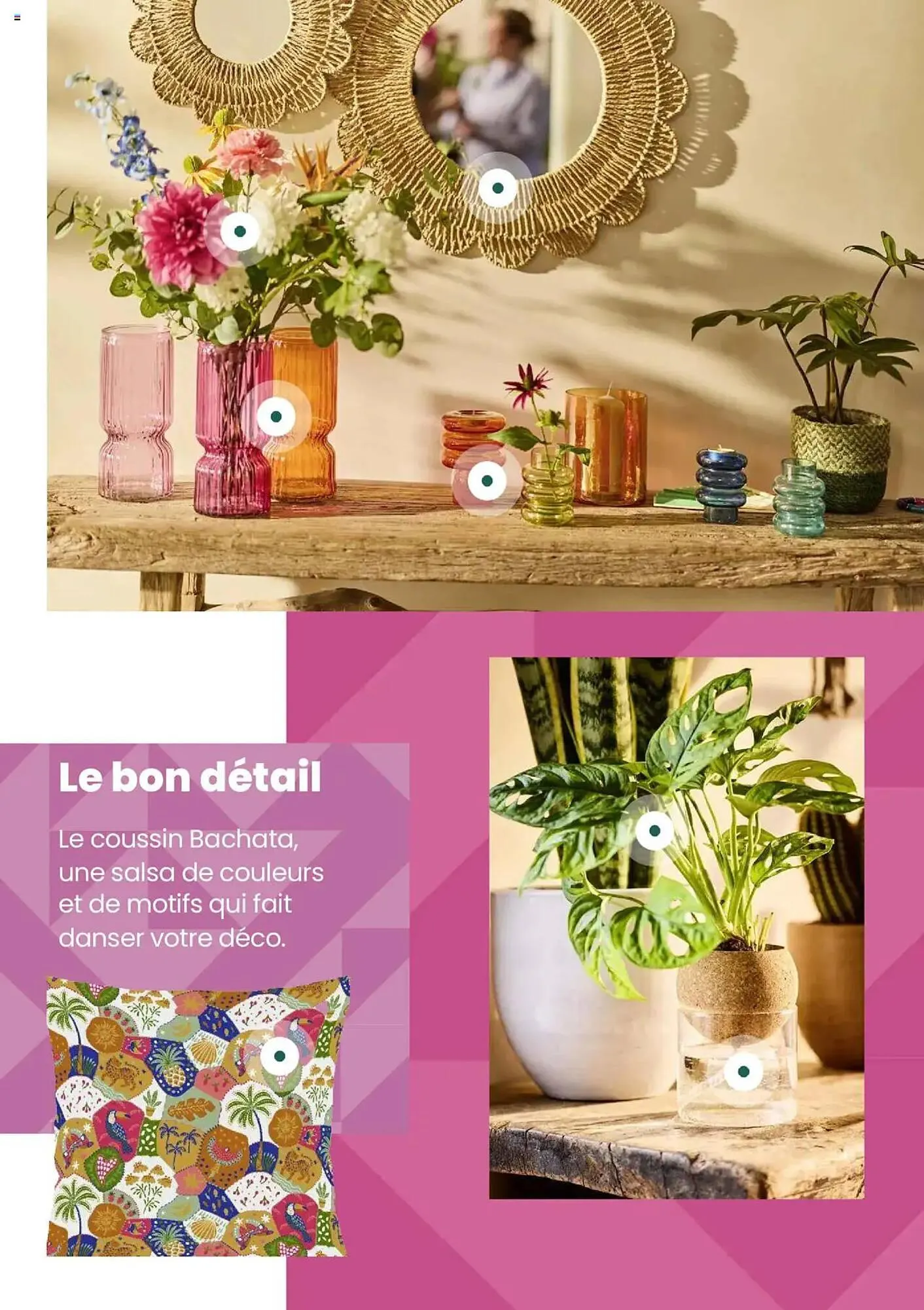 Catalogue Truffaut du 7 mai au 31 juillet 2025 - Catalogue page 17