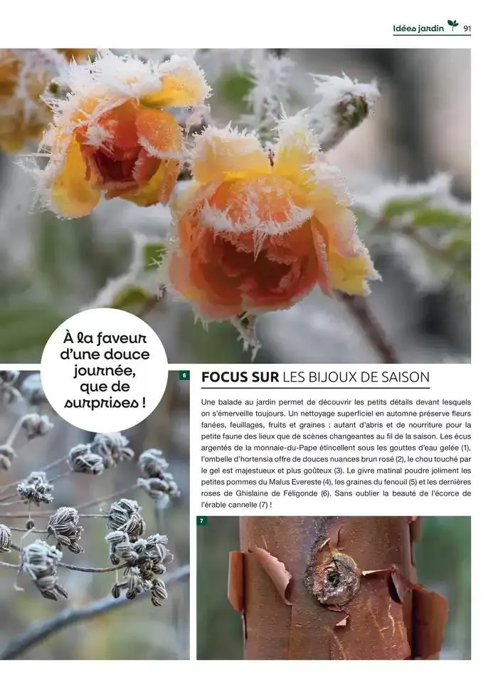 Hiver 2024 du 4 décembre au 20 mars 2025 - Catalogue page 91