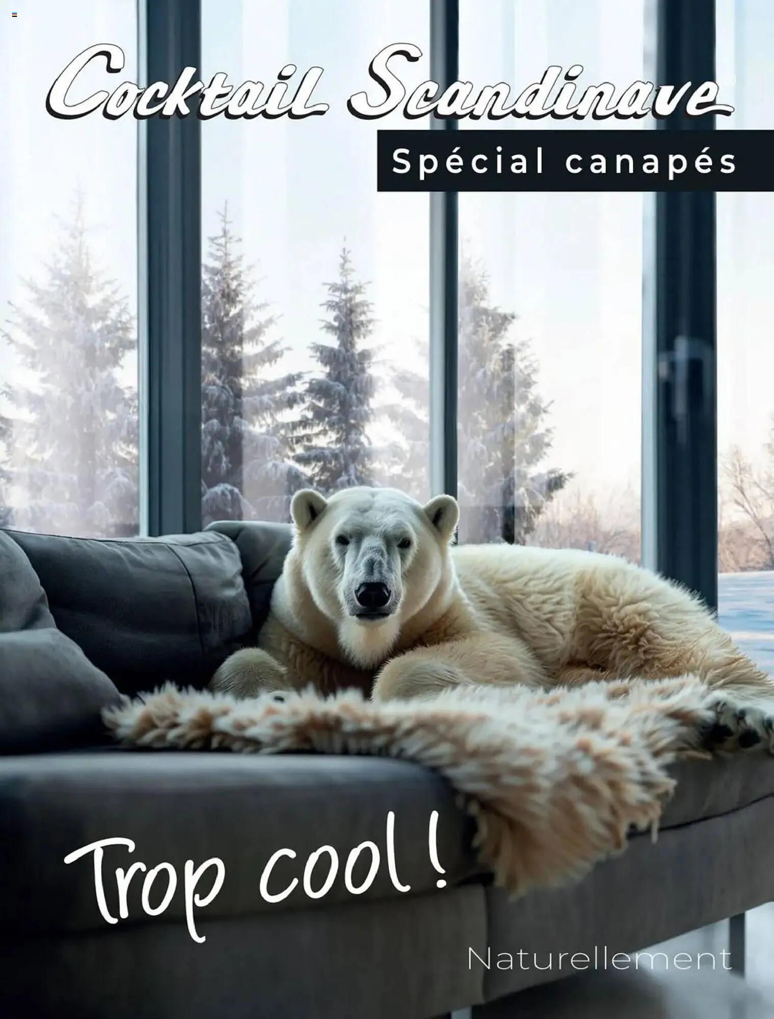 Catalogue Cocktail Scandinave - 1