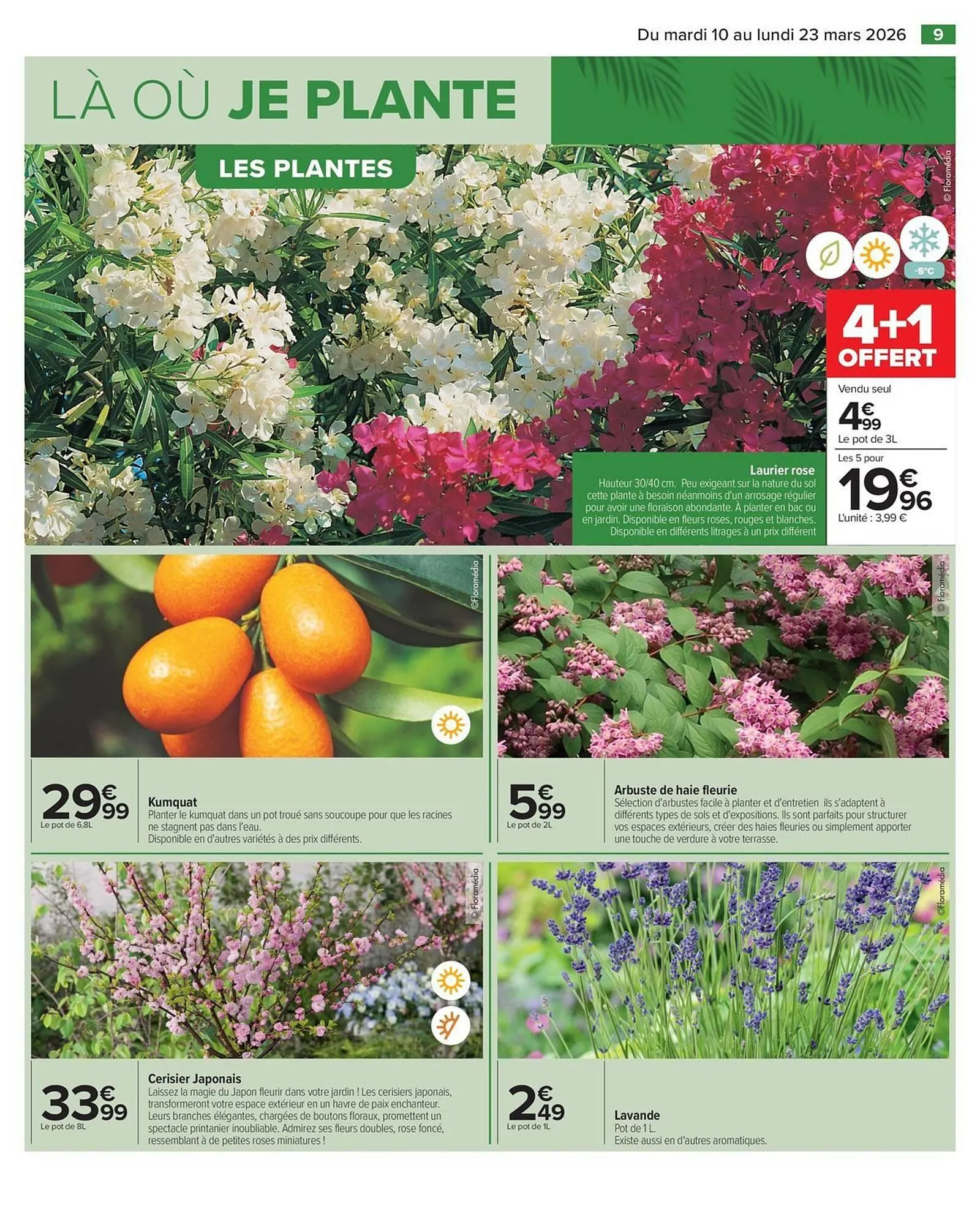 Catalogue Carrefour du 10 mars au 23 mars 2026 - Catalogue page 17