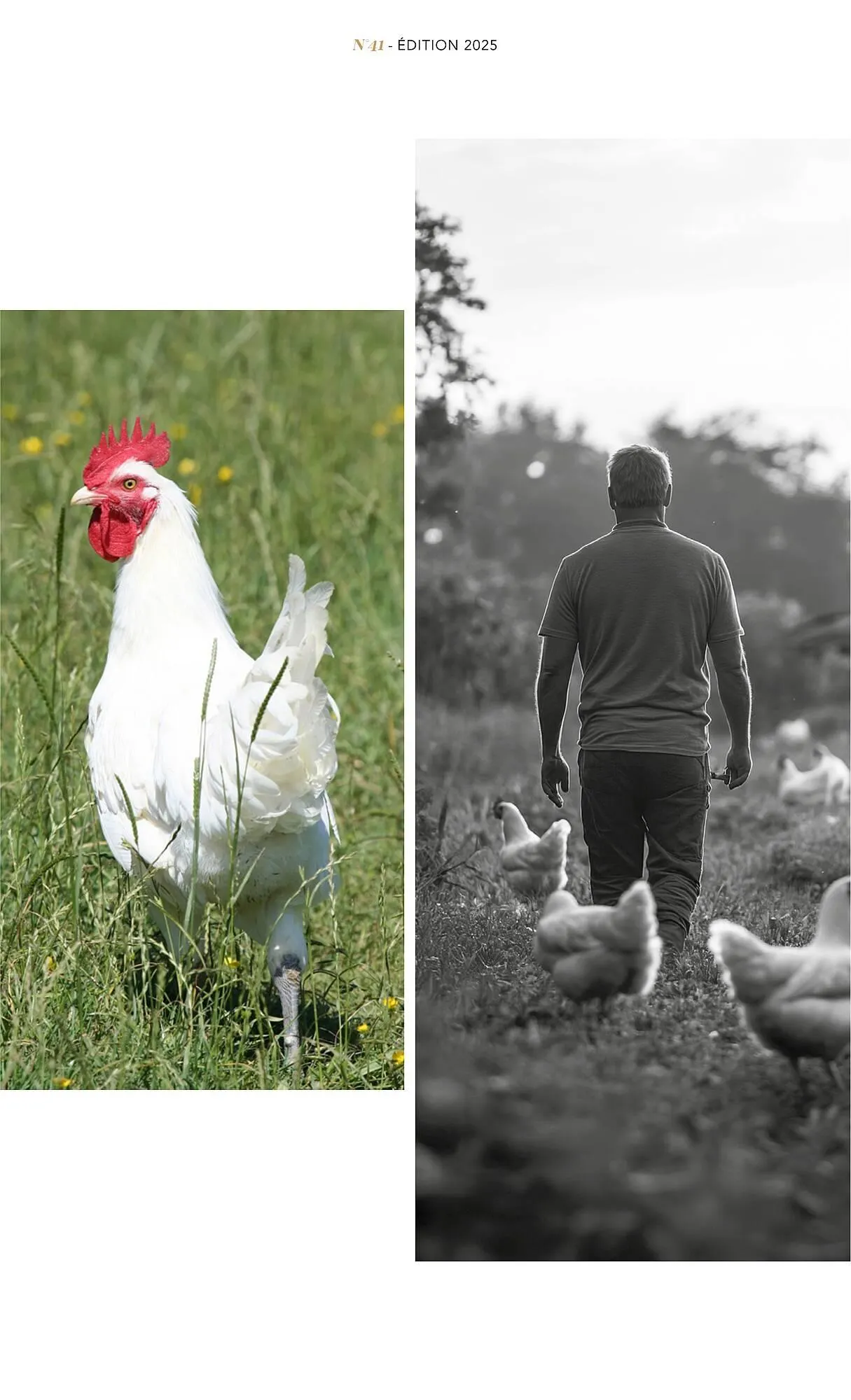 Catalogue METRO du 1 juillet au 31 décembre 2025 - Catalogue page 25