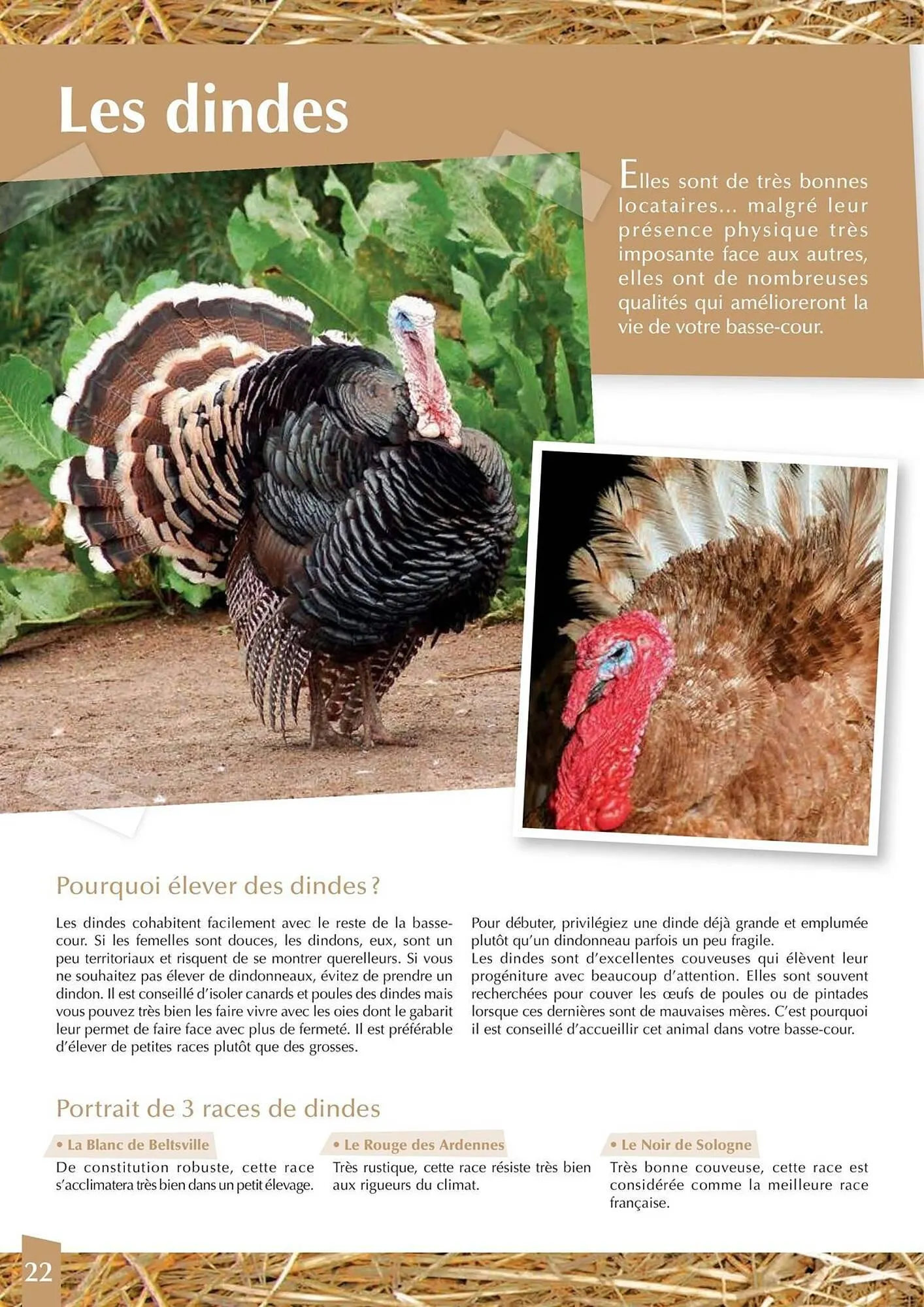 Catalogue Point Vert du 30 avril au 31 décembre 2025 - Catalogue page 22