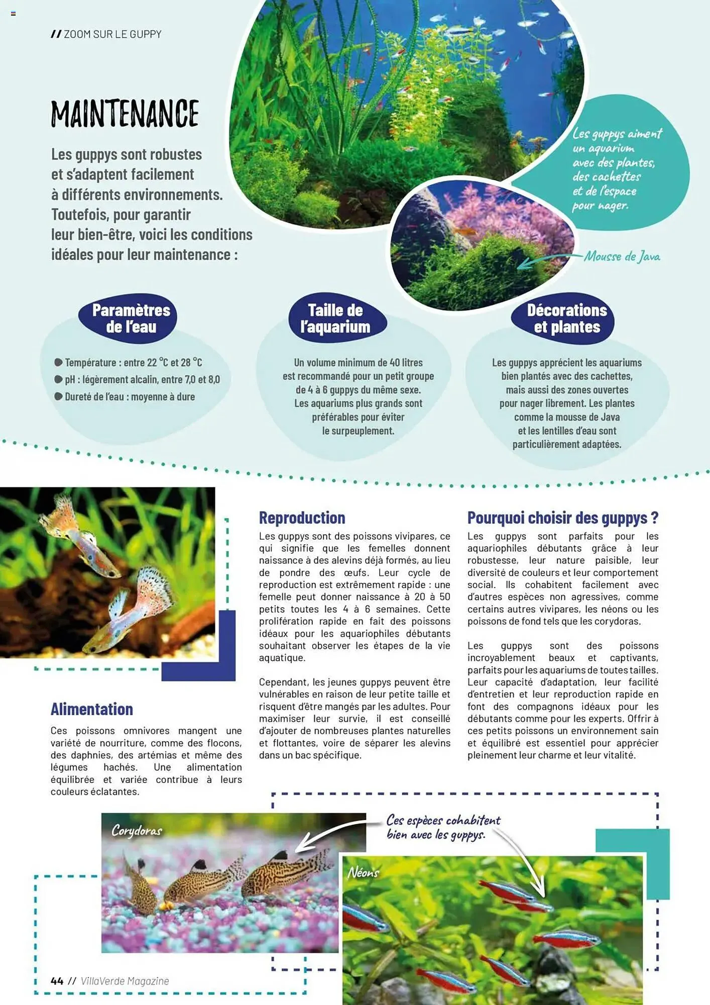 Catalogue VillaVerde du 20 mai au 1 janvier 2026 - Catalogue page 148