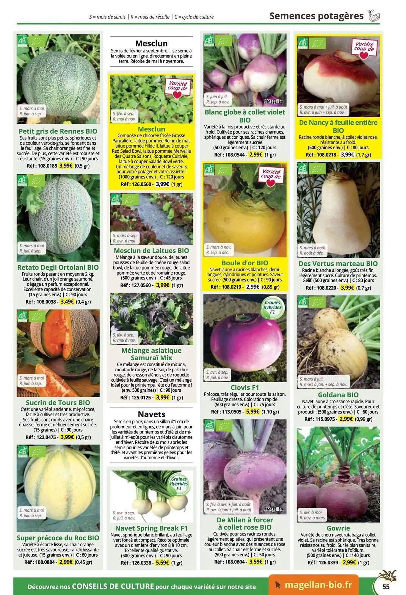 Catalogue Magellan du 16 décembre au 31 décembre 2025 - Catalogue page 55