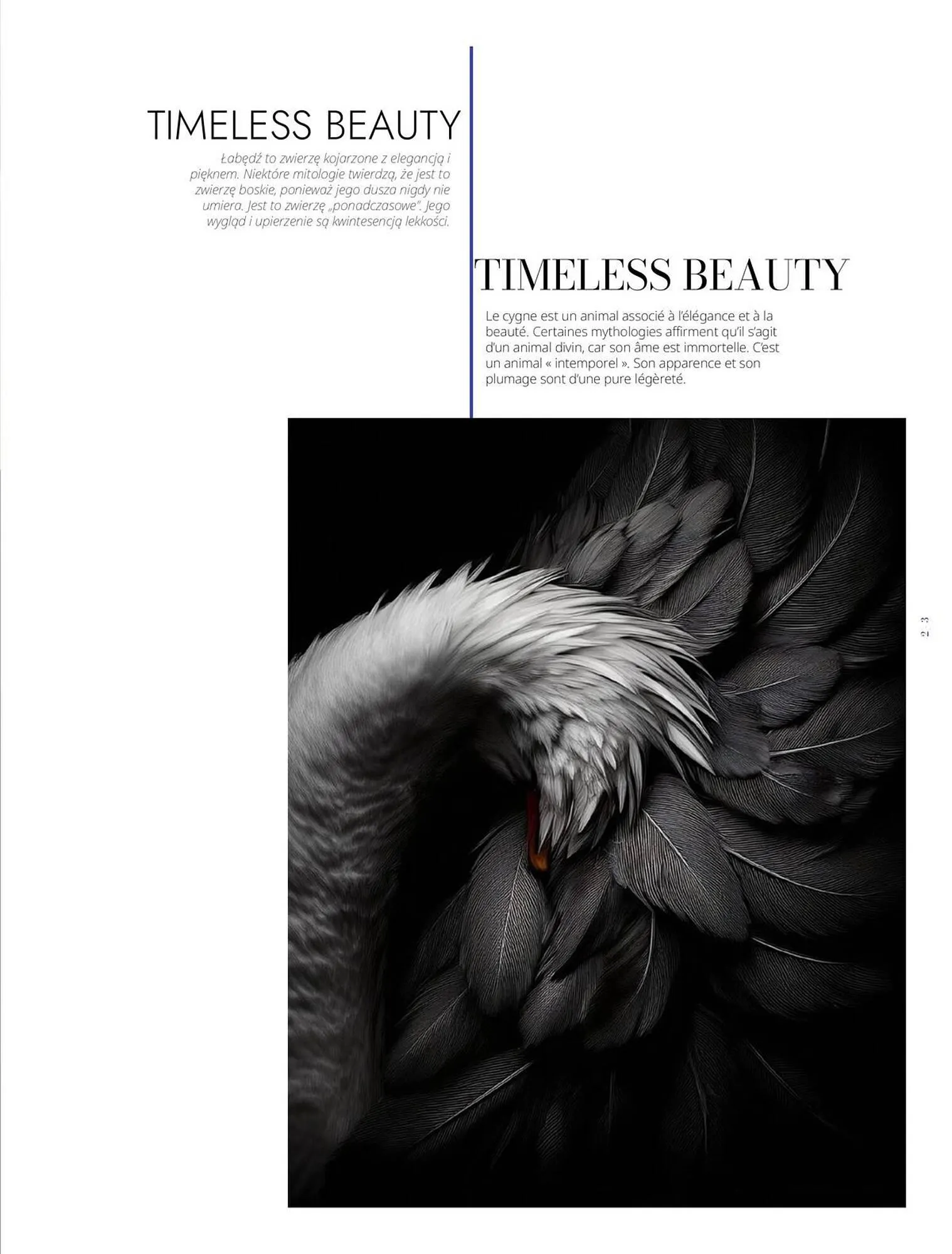 Catalogue Porcelanosa du 2 octobre au 31 décembre 2025 - Catalogue page 5