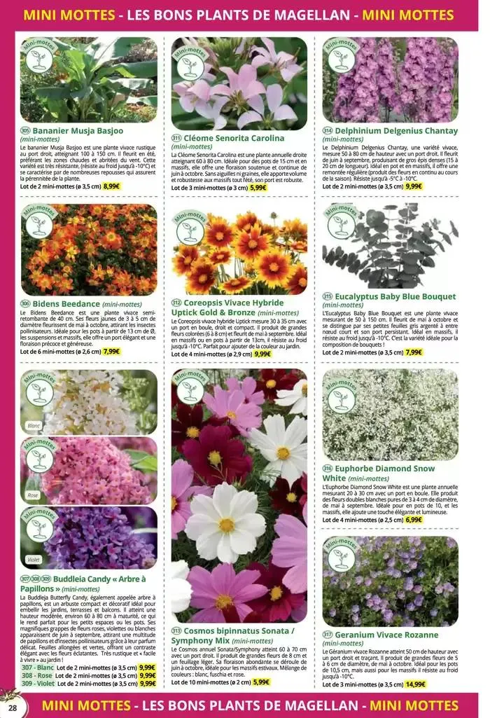 Catalogue Général 2025 du 16 décembre au 31 décembre 2025 - Catalogue page 28