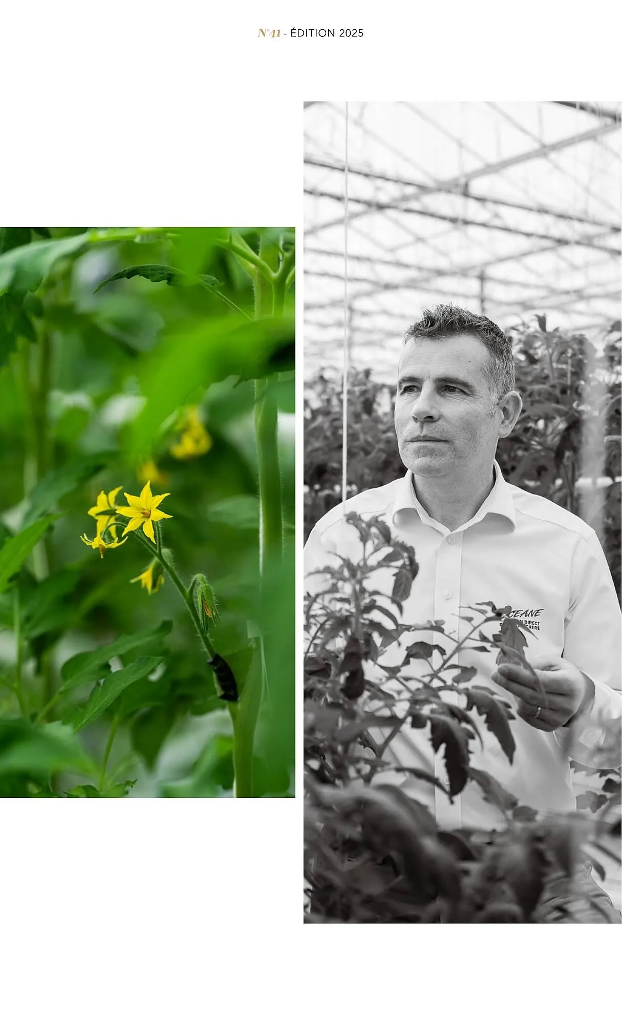 Catalogue METRO du 1 juillet au 31 décembre 2025 - Catalogue page 13