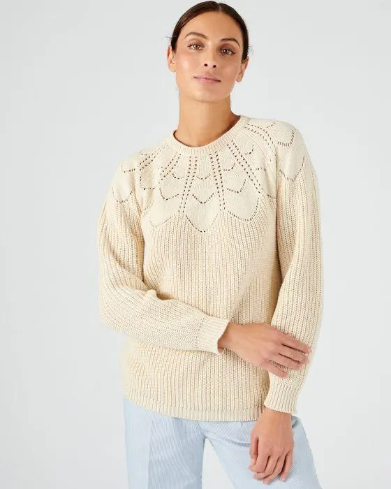 Pull détails ajourés