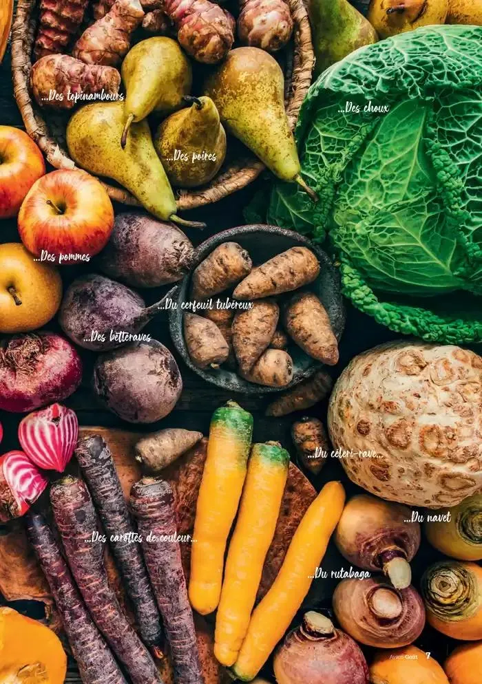 Hiver 2024 du 3 décembre au 20 mars 2025 - Catalogue page 7