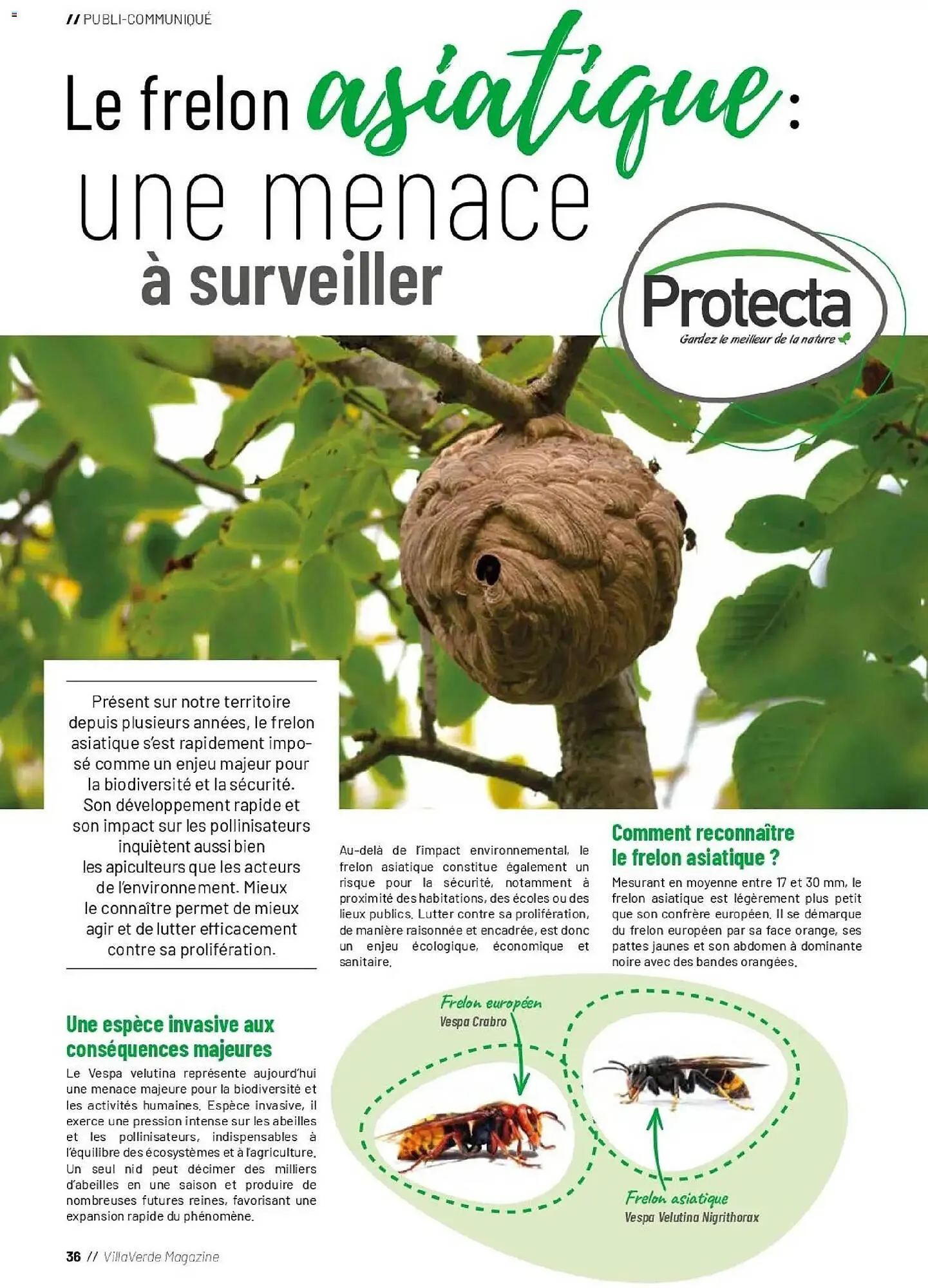 Catalogue VillaVerde du 1 avril au 30 septembre 2026 - Catalogue page 36