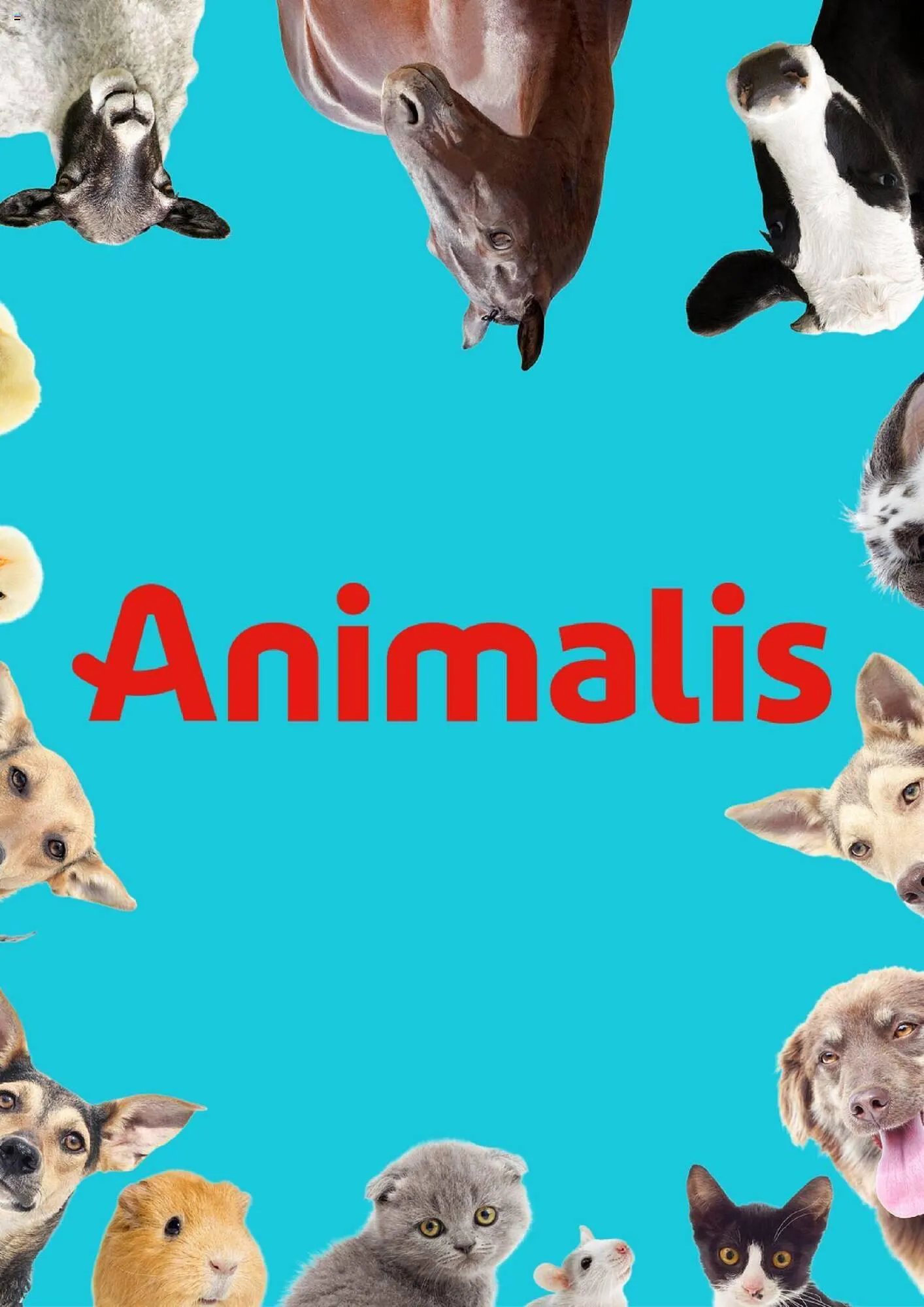 Catalogue Animalis - 1