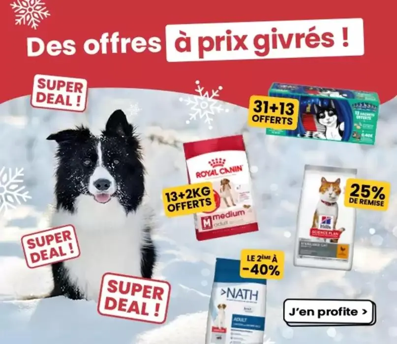 Des offres à prix givrés ! du 5 février au 28 février 2025 - Catalogue page 3