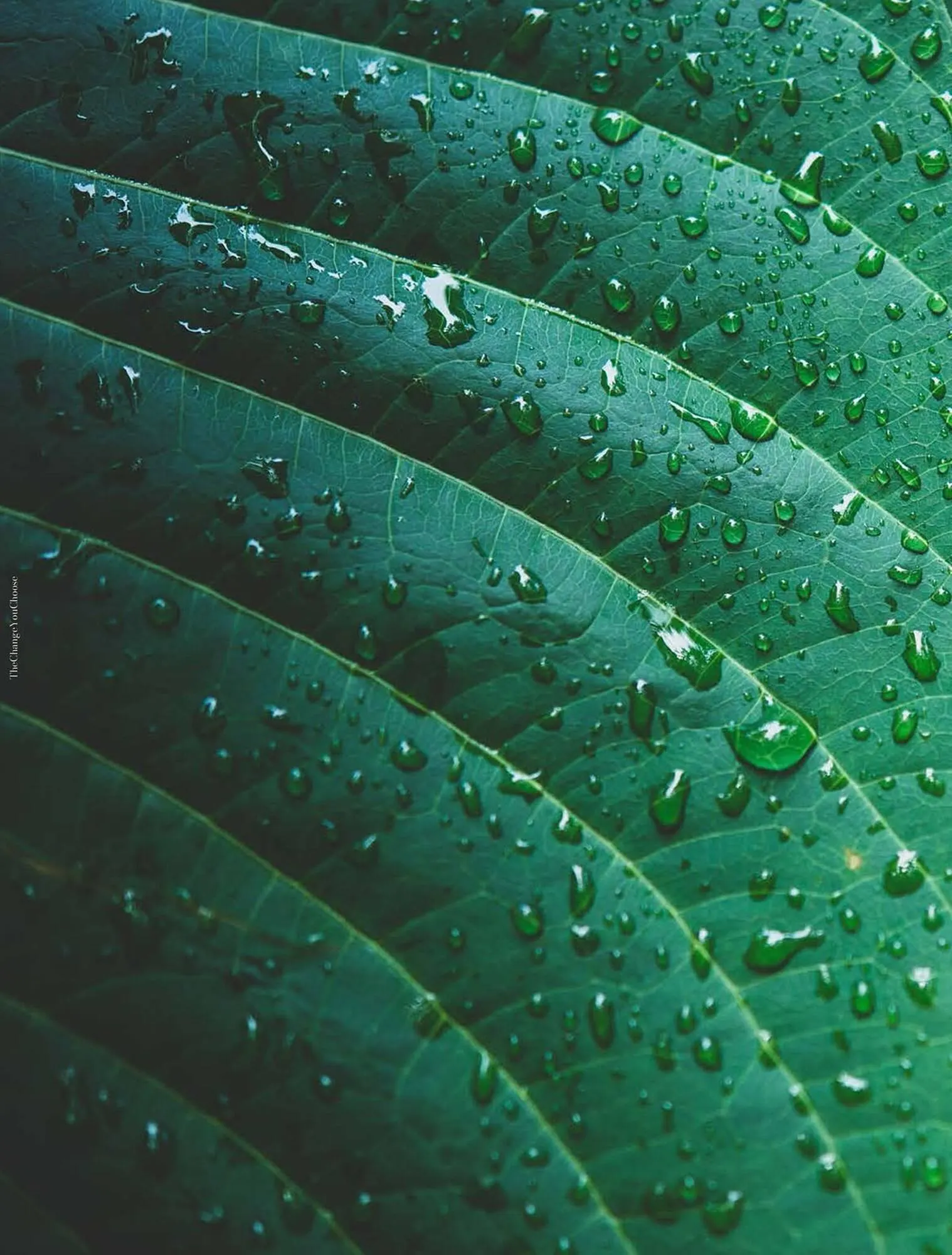 Catalogue Porcelanosa du 2 octobre au 31 décembre 2025 - Catalogue page 32