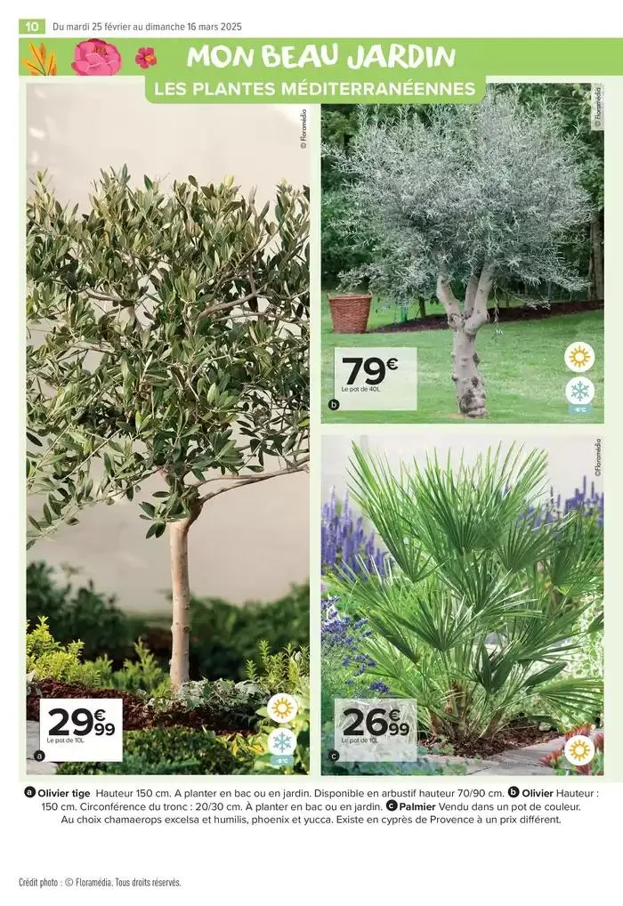PROFITER ENFIN DE SON JARDIN du 25 février au 16 mars 2025 - Catalogue page 10