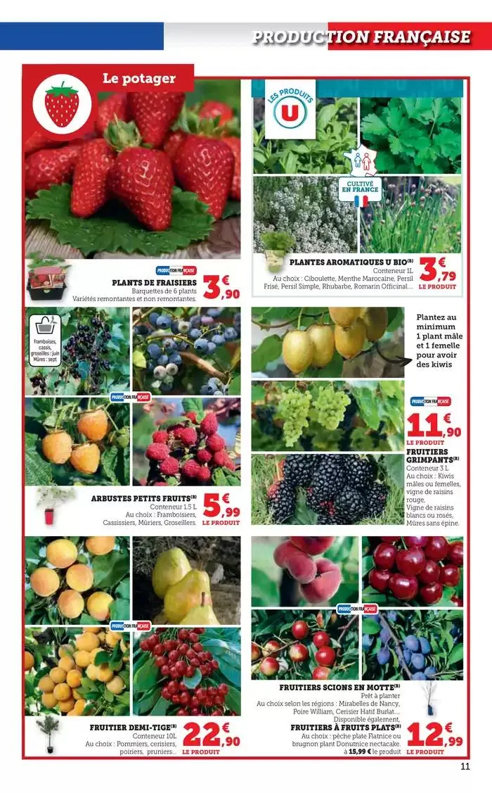 Spécial Jardin du 18 février au 16 mars 2025 - Catalogue page 11