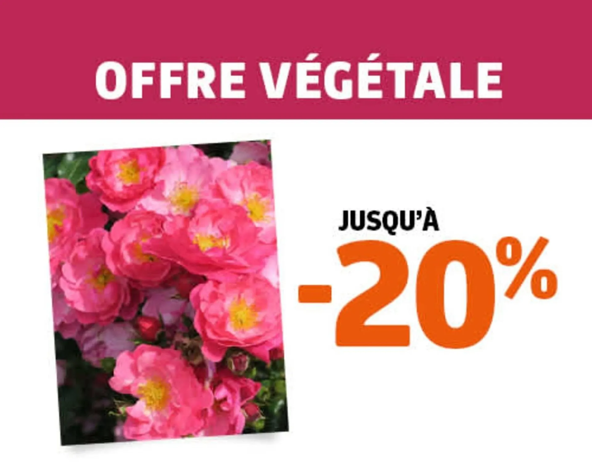 Catalogue Jardiland du 30 décembre au 7 janvier 2026 - Catalogue page 5