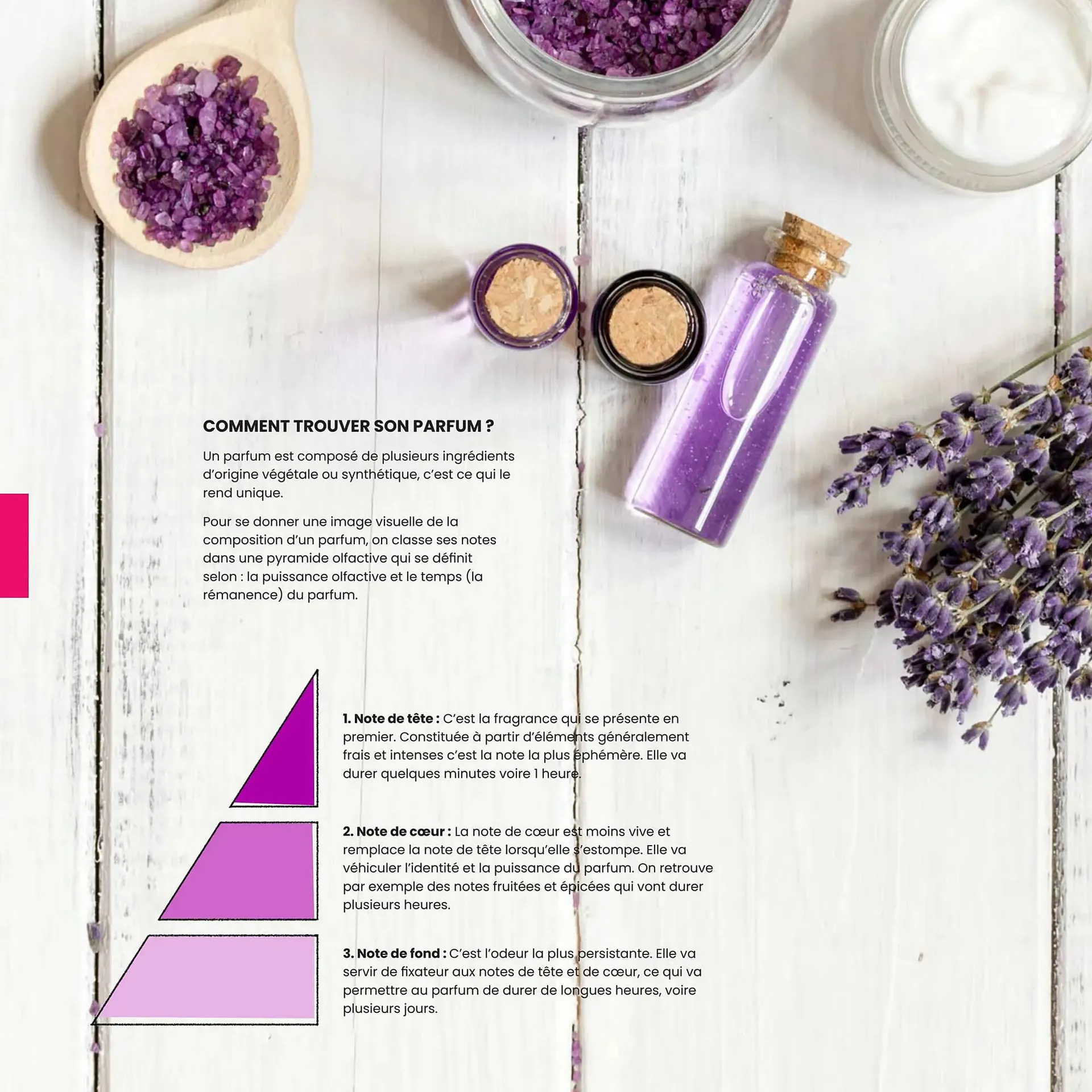 Catalogue Texam du 24 janvier au 31 décembre 2025 - Catalogue page 49