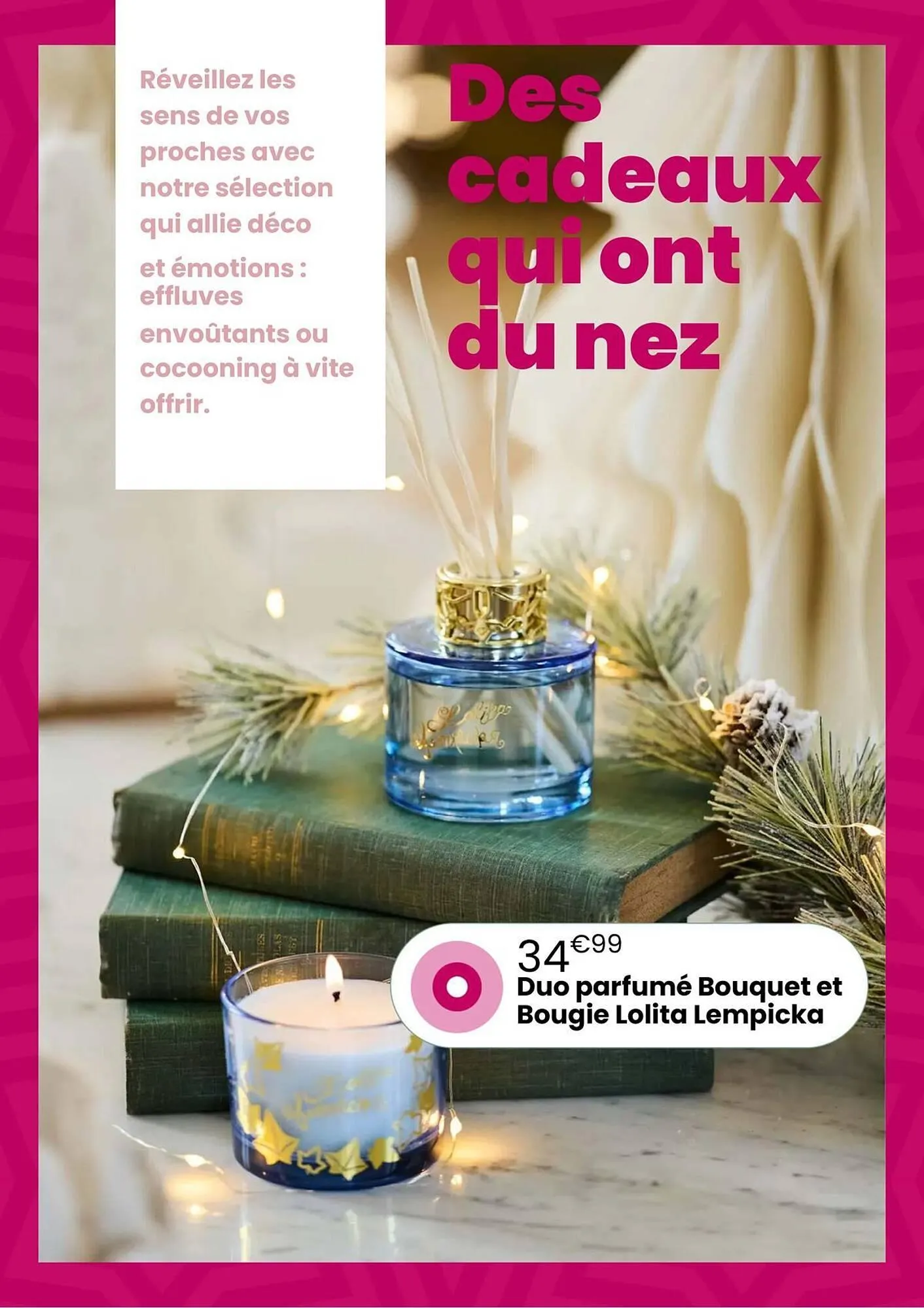 Catalogue Truffaut du 2 décembre au 31 décembre 2025 - Catalogue page 45