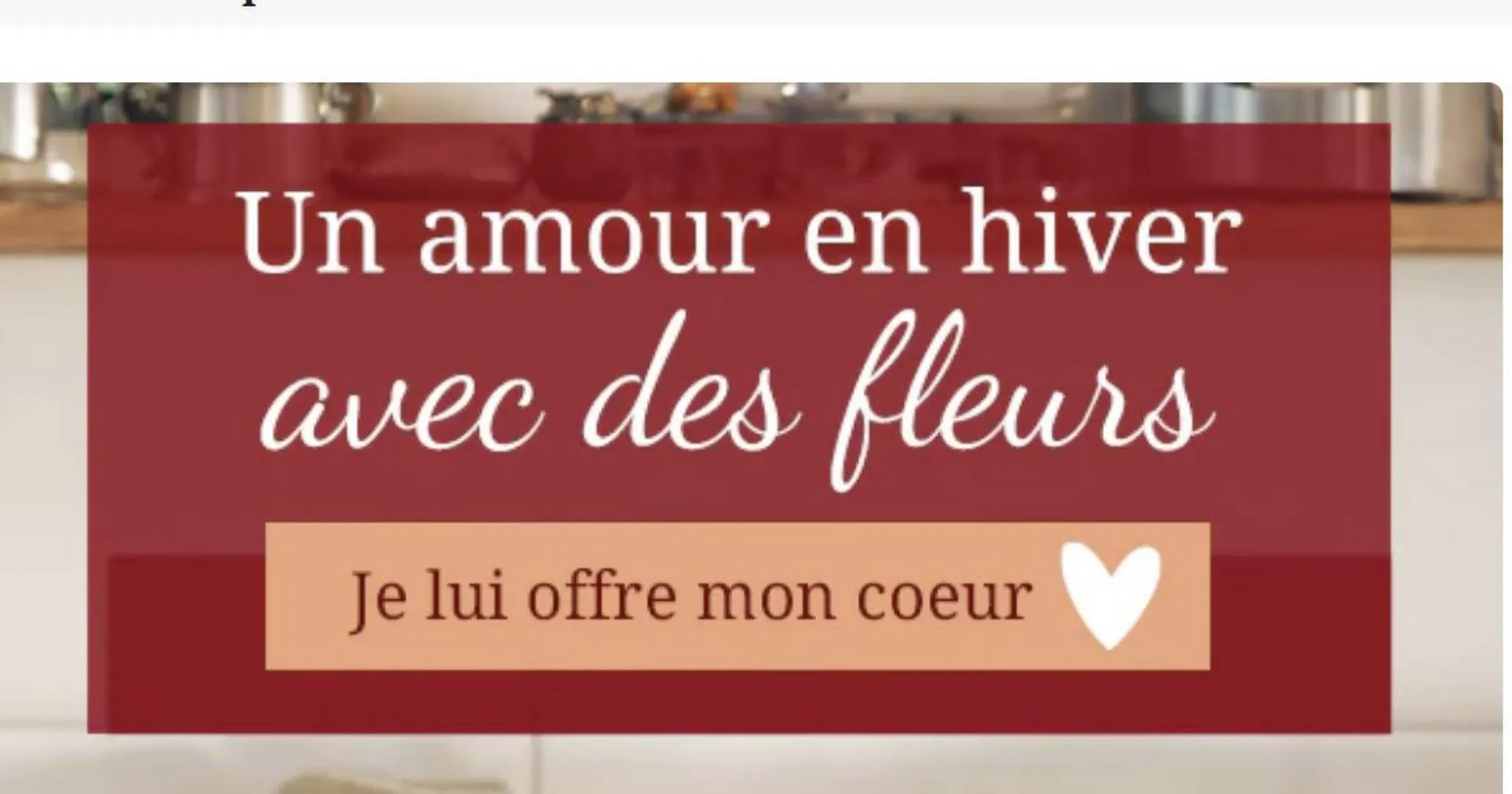 Catalogue Florajet du 23 janvier au 17 février 2024 - Catalogue page 