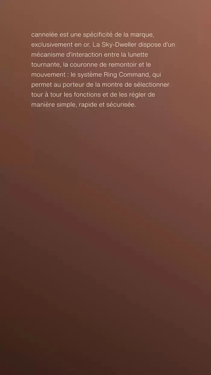 Rolex Sky Dweller du 13 décembre au 13 décembre 2025 - Catalogue page 6