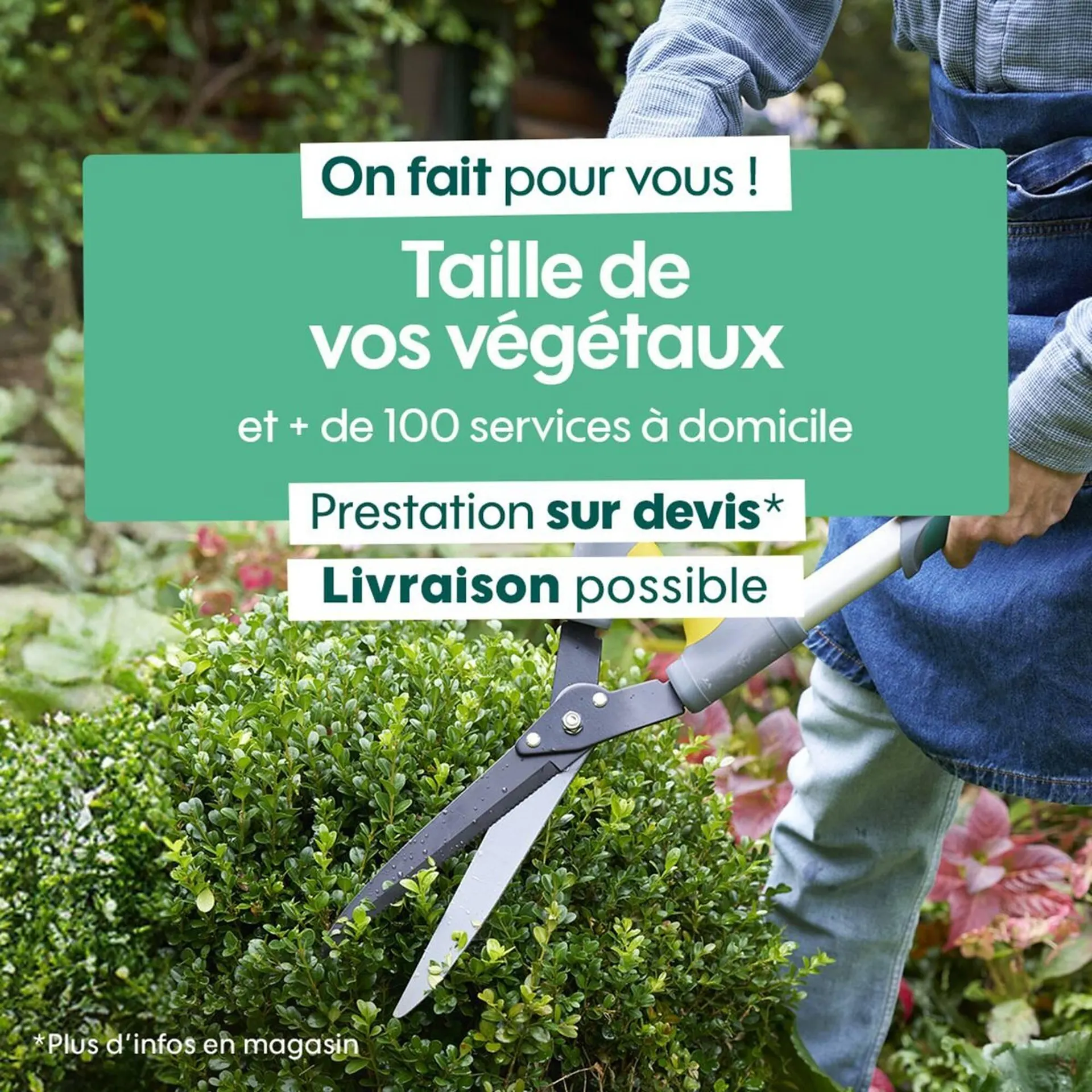 Catalogue Truffaut du 3 novembre au 30 novembre 2025 - Catalogue page 5