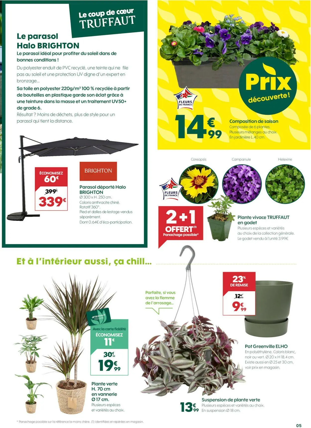 Truffaut du 15 mars au 29 mars 2025 - Catalogue page 5