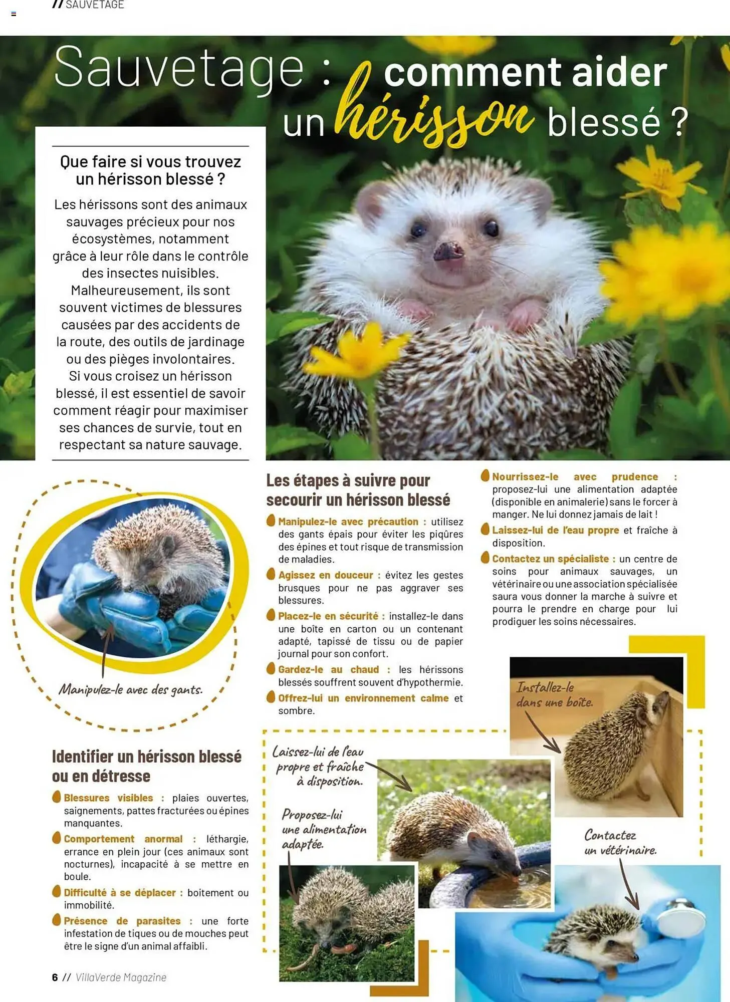 Catalogue VillaVerde du 20 mai au 1 janvier 2026 - Catalogue page 6