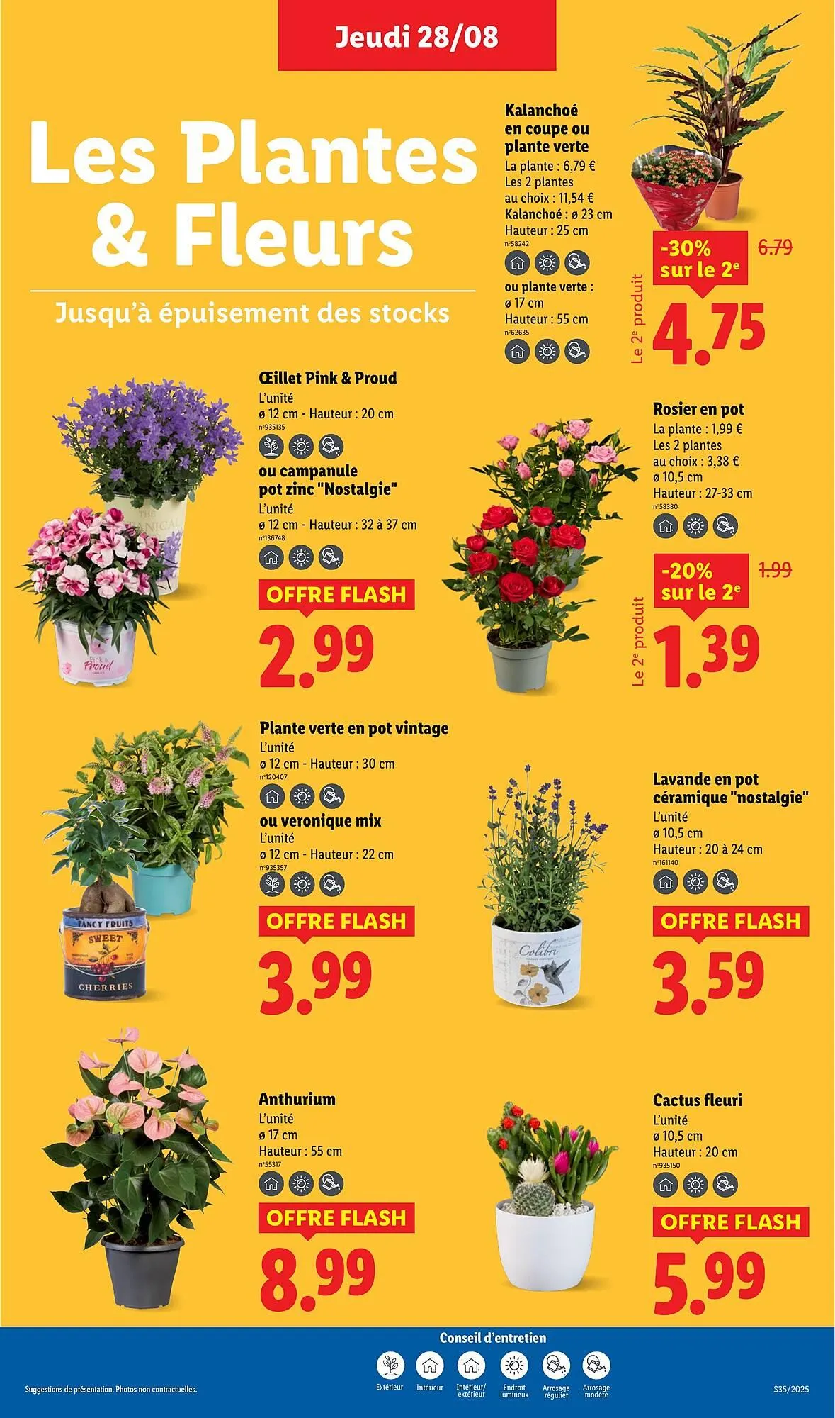 Catalogue Lidl du 28 août au 3 septembre 2025 - Catalogue page 27