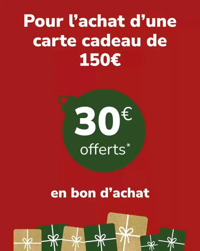 OFFRE SPÉCIALE sur nos cartes cadeaux du 20 décembre au 25 décembre 2024 - Catalogue page 3