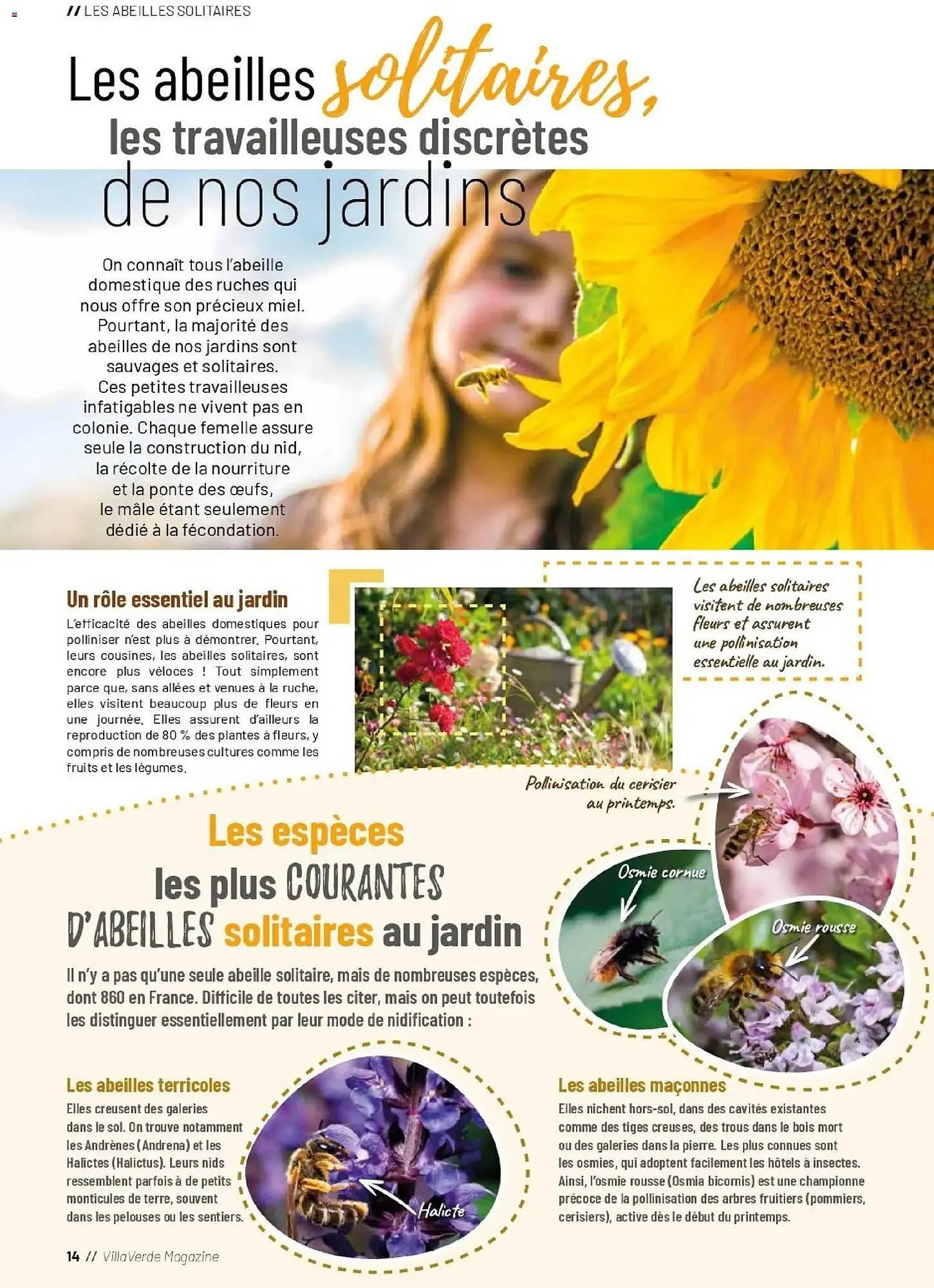 Catalogue VillaVerde du 1 avril au 30 septembre 2026 - Catalogue page 14