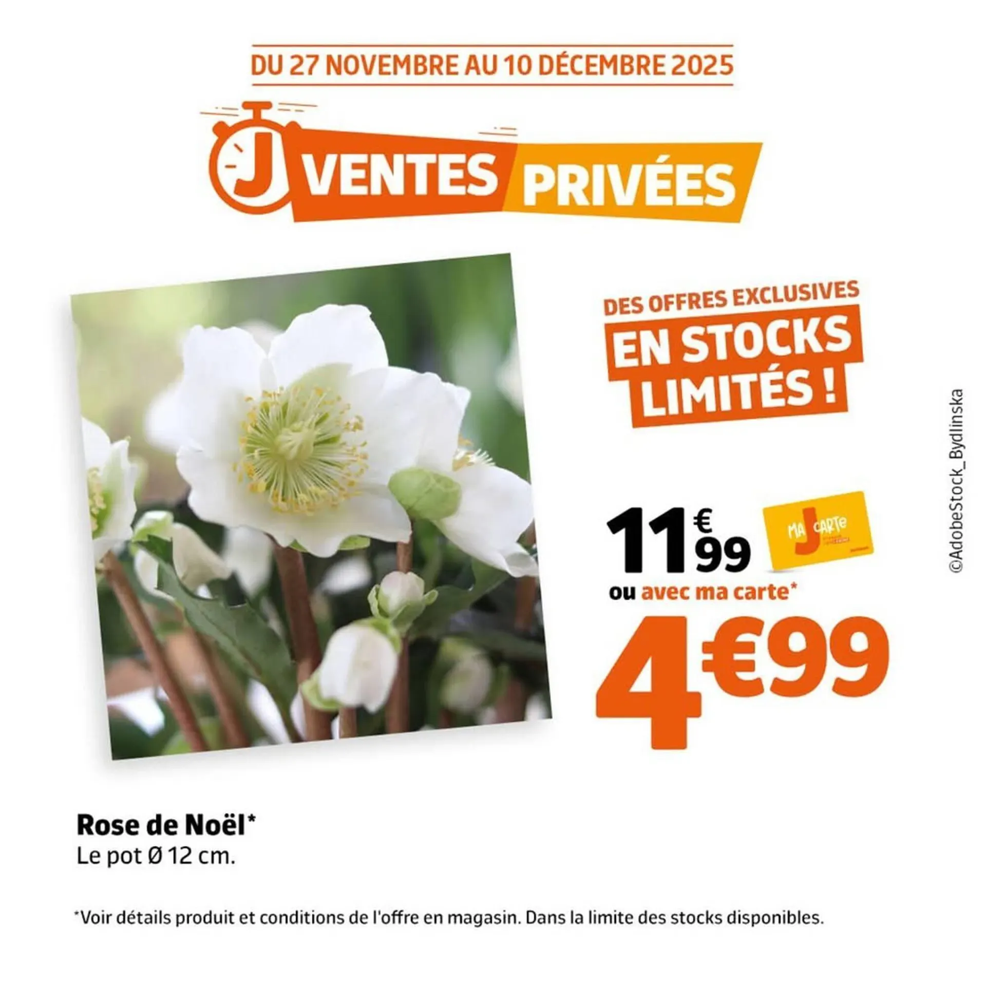 Catalogue Jardiland du 2 décembre au 10 décembre 2025 - Catalogue page 5