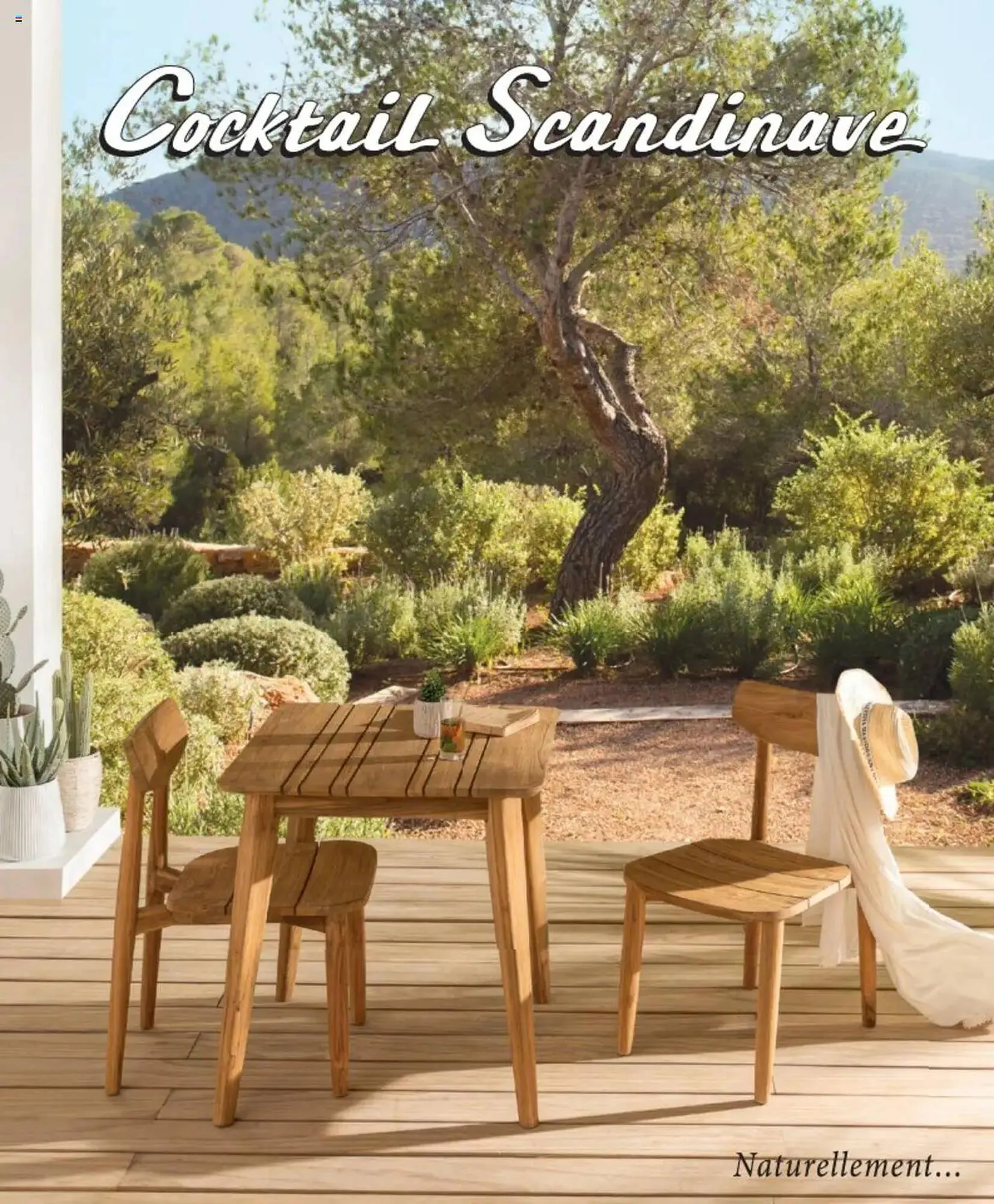 Catalogue Cocktail Scandinave - 1