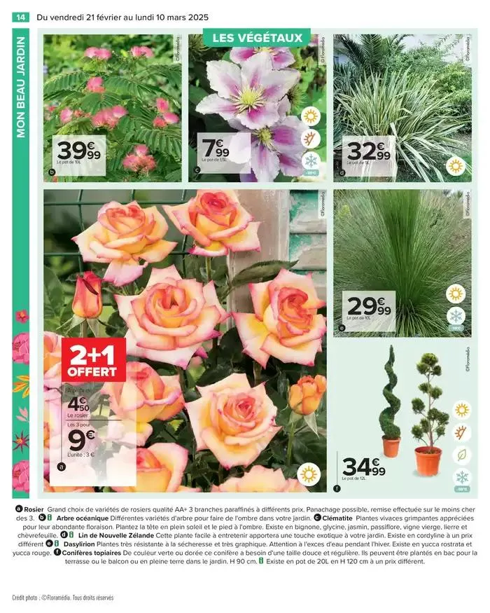 PROFITER ENFIN DE SON JARDIN du 21 février au 10 mars 2025 - Catalogue page 16