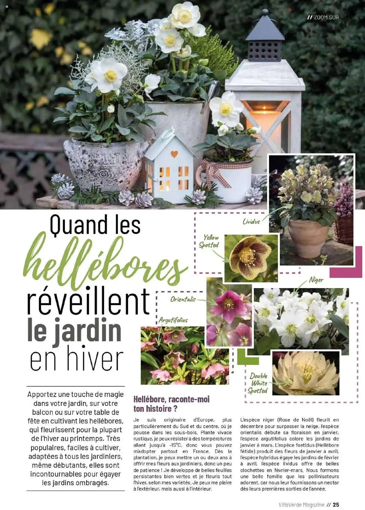 Catalogue VillaVerde du 19 septembre au 28 février 2026 - Catalogue page 25